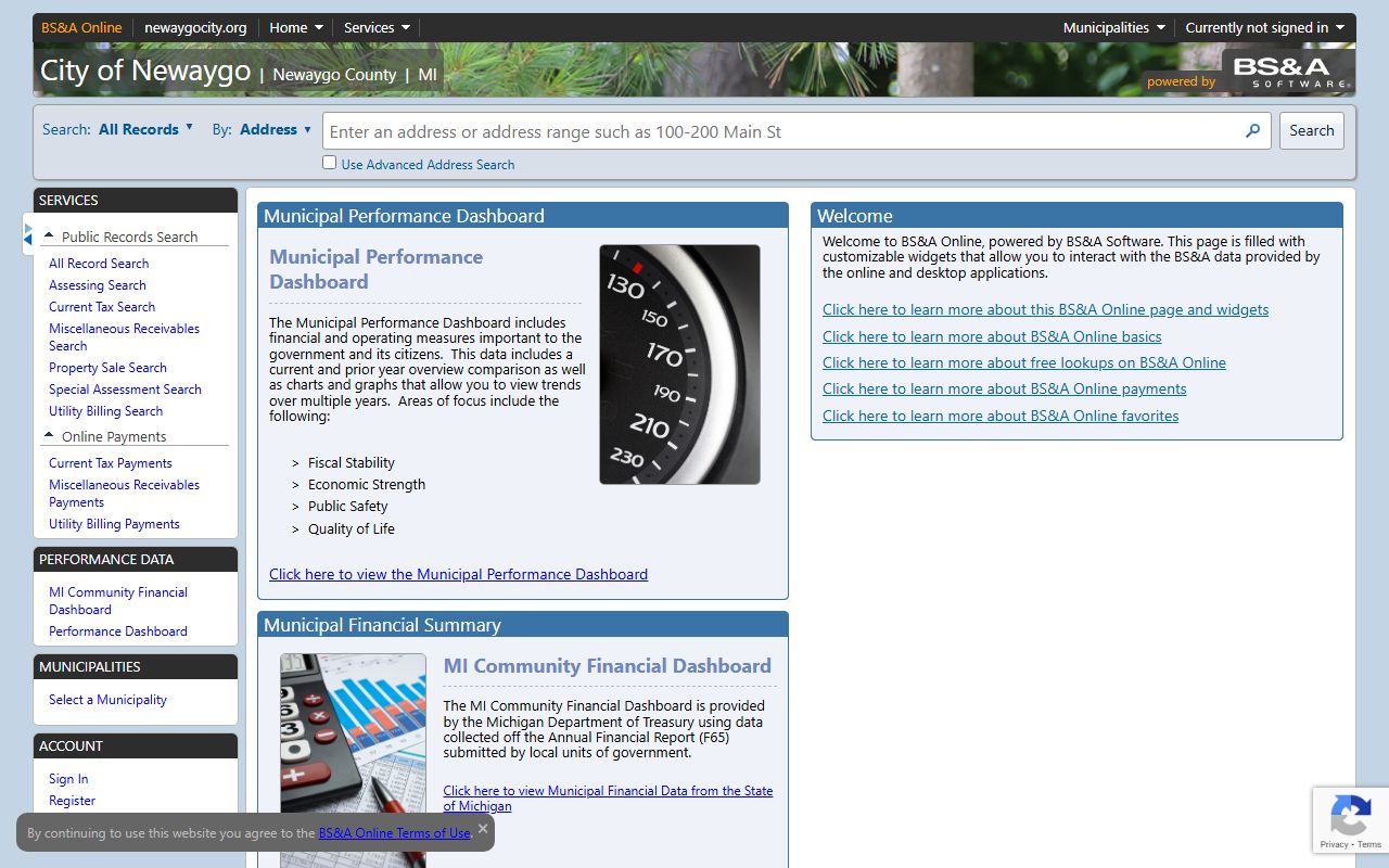 Newaygo County Equalization BS&A property tax portal for searching Newaygo County property tax records